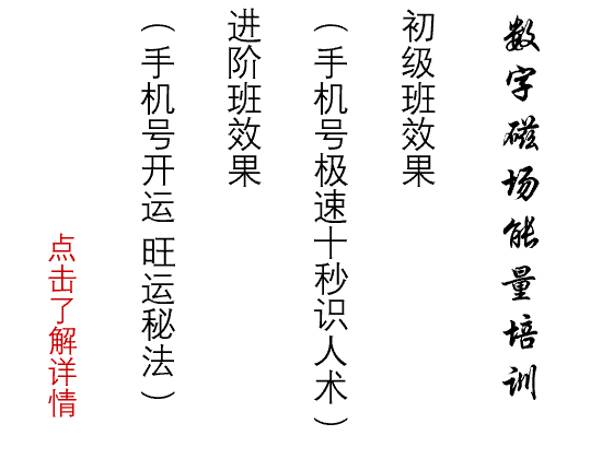 数字磁场能量培训